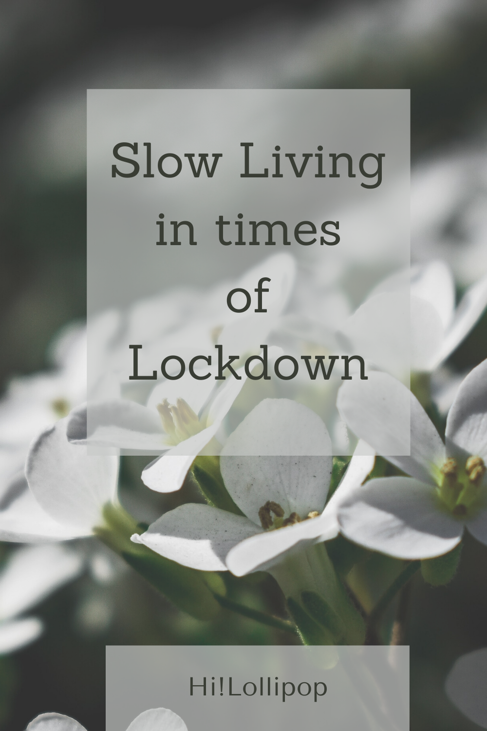 You are currently viewing Slow Living in times of Lock Down